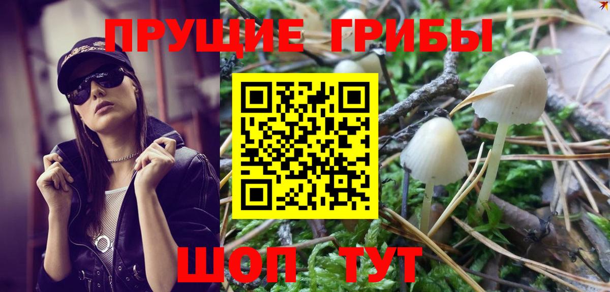 Южноуральск  Галлюциногенные грибы MAGIC MUSHROOMS  Вход с VPN  Галлюциногенные грибы Psilocybe 