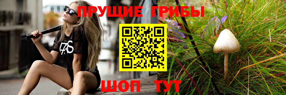 Псилоцибиновые грибы мицелий Южноуральск